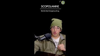 ⚕️The Worlds Most Dangerous Drug  Scopolamine [upl. by Eintruok]