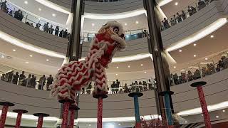 Serunya Nonton Barongsai di AEON Mall  Chinese New Year [upl. by Gnilsia]