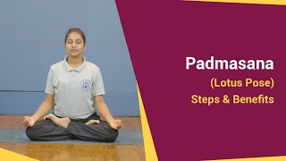 Padmasana Lotus Pose  Steps and Benefits  Kaivalyadhama Yoga Institute [upl. by Buyse]