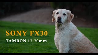 Sony FX30 Short Film 4K Footage  Tamron 1770  Cinematic Music Video [upl. by Dyal]