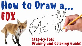 How To Draw A Fox  Fun amp Easy StepbyStep Drawing and Coloring Guide [upl. by Marfe]