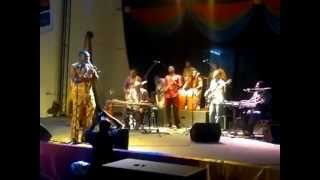 Ghanaian High Life meets Mandingue music Dela Botri  Keletigui Diabate  Barou Kouyate [upl. by Trebor560]