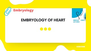 Embryology of Heart [upl. by Leach]