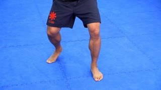 5 Footwork Basics  MMA Fighting [upl. by Budworth]