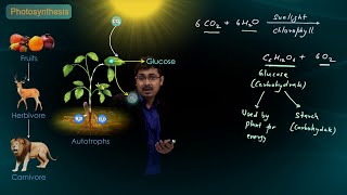 Life Process  Nutrition Mode of Nutrition and Photosynthesis  CBSE Class 10 Science  Biology [upl. by Levana430]