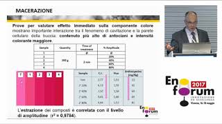 Studi sull’applicazione degli ultrasuoni come innovazione di processo nella filiera enologica [upl. by Enahsal45]