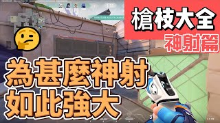 為甚麼神射如此強大  特戰槍枝大全｜特戰英豪 [upl. by Liag216]