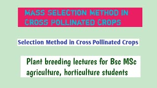 Mass selection method in cross pollinated crops [upl. by Prisca]