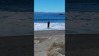 Beautiful Summer on Harris Beach brookings oregon [upl. by Ing]