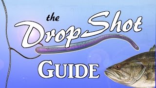 DROPSHOT Guide  The Most Effective Rig in Bass Fishing [upl. by Nimzaj]