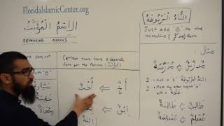 Madinah Arabic Course Book 1 Lesson 6 Part 1B Concepts [upl. by Melmon]