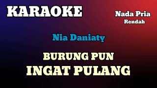 BURUNG PUN INGAT PULANG  Nia Daniaty  KARAOKELIRIK  NADA PRIA Rendah [upl. by Eatnod]