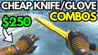 BEST CHEAP CS2 KNIFE amp GLOVE COMBOS in 2024 BUDGET KNIFE  GLOVES COMBO Under 350 [upl. by Anaidni]