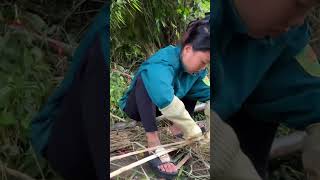 girl thatching her house with grass camping survival survivaltips [upl. by Sherline791]