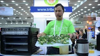 How to Make Kale Chips in the Sedona Dehydrator using 3 Ingredients [upl. by Eissalc927]