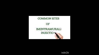 Common sites of IM injectionshortvideo shortvideo [upl. by Fabrin]