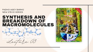 Synthesis And Breakdown Of Macromolecules  Biomolecules  Chapter01  Lecture 3  New Stb  Mdcat [upl. by Lezirg]