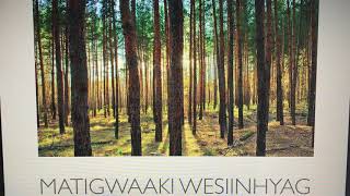 Dominic Beaudry shares Matigwaaki Wesiinhyag Forest Animals in the Ojibwe language [upl. by Ainnos]