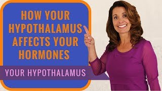 What Does Your Hypothalamus Do  3 Tips for Natural Hypothalamus Support [upl. by Edveh]