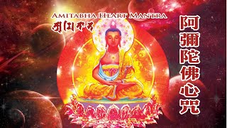 Amitabha Heart Mantra 阿弥陀佛心咒 [upl. by Maffei528]