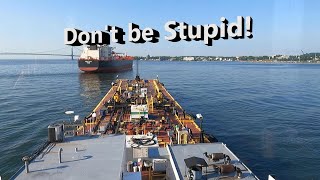 Dont be Stupid [upl. by Aimat]