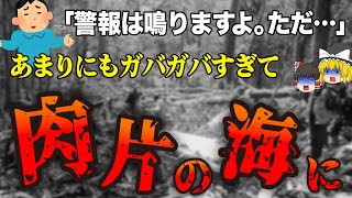 【ゆっくり解説】5800万円を積んだ飛行機が墜落…次々と驚愕の事実が明らかになっていった航空機事故「トリガナ航空267便墜落事故」 [upl. by Burgess]