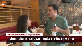 Sivrisinek kovan doğal yöntemler  atv Ana Haber [upl. by Yrad]