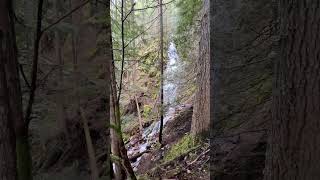 Lower Teneriffe Falls 96’  Cascade Mountains WA pnw waterfall [upl. by Brennan]