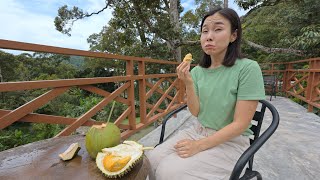 1 Day Trip to quotBalik Pulau Penang Asam Laksa Durian Cafe [upl. by Sophy]