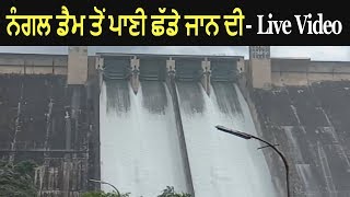 Water Release From Bhakra Dam at Nangal  Live Video [upl. by Erapsag]