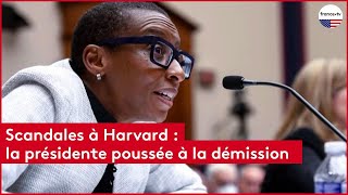 Scandales à Harvard  la présidente poussée à la démission [upl. by Eissirc]