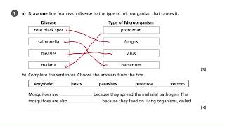 Pathogens and Disease  AQA GCSE Biology [upl. by Gresham35]