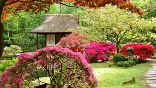 Japanese Gardens and Japanese Music [upl. by Armillda]