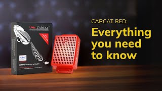 CARCAT RED  RAT REPELLENT FOR CAR  HOW TO USE  EVERYTHING YOU NEED TO KNOW [upl. by Dlorag870]