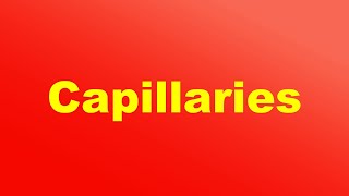 Capillaries Definition and Function [upl. by Halliday]