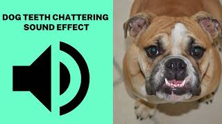 Dog Teeth chattering Sound Effect [upl. by Chemaram51]