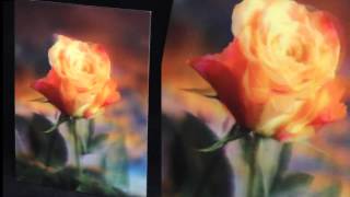 Lenticular printing 3d 100 lpi 06 mm [upl. by Ecnaret]