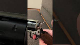 Heritage Mfg Barkeep 22lr — guns revolver gun [upl. by Aruabea]