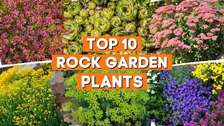 Top 10 Lovely Rock Garden Plants You Need to Create a Colorful Landscape 🪨 🌻 💛 [upl. by Ahseek]