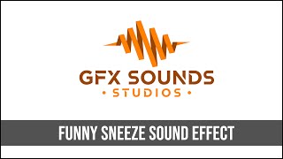 Funny Sneeze Sound Effect [upl. by Stonwin]