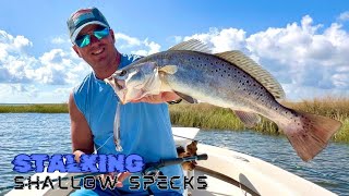 DockSide TV Stalking Shallow Specks [upl. by Aveneg]