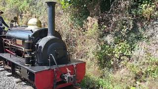 Umsetzung zur Rückfahrt Launceston Steam Railway [upl. by Wichman]