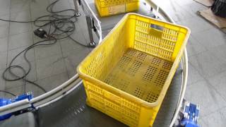 NEXUS Modular Belt Conveyor  Plastic Crate Handling [upl. by Yleek]