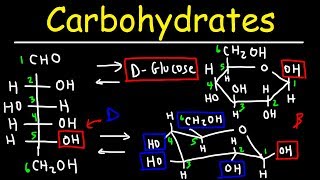 Carbohydrates  Haworth amp Fischer Projections With Chair Conformations [upl. by Ole]