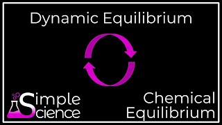 Dynamic Equilibrium [upl. by Boothe730]