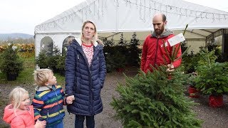 Company Allows Families To Rent The Same Christmas Trees Each Year [upl. by Almire]