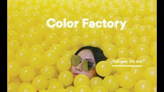 Color Factory in SF [upl. by Darwin80]