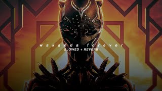 wakanda forever  ludwig goransson  slowed  reverb [upl. by Ilam]