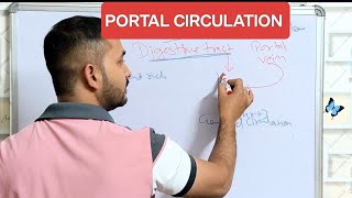 Portal Circulation in hindi  Digestive Tract Liver in hindi [upl. by Akital288]