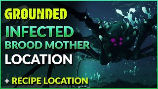 Grounded Infected Broodmother Location and Moldy Hoagie Recipe Location [upl. by Netnert]